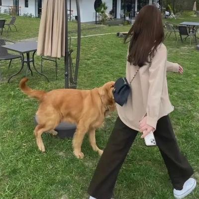 剧场版